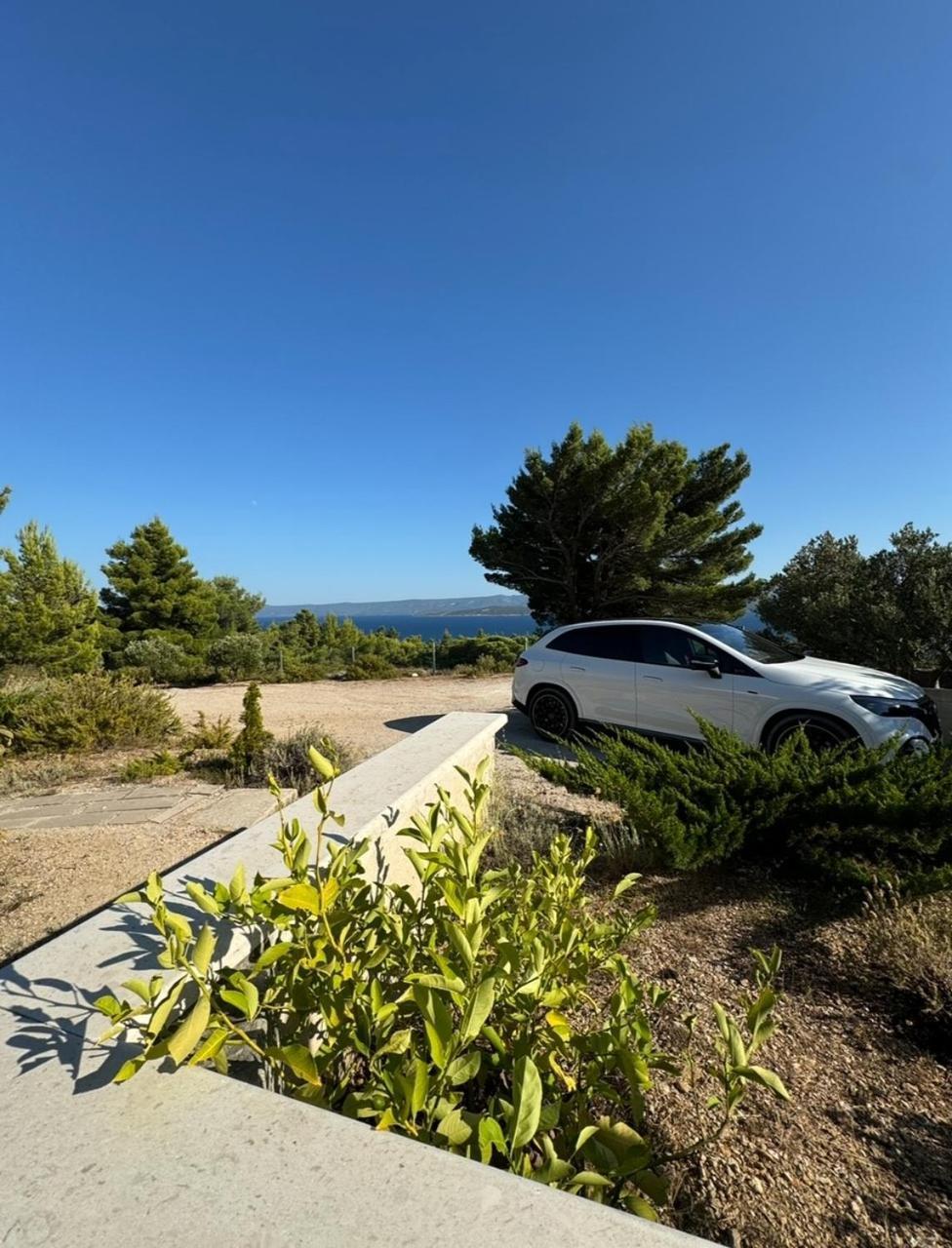 Villa Aurea Palma Bol Exteriör bild
